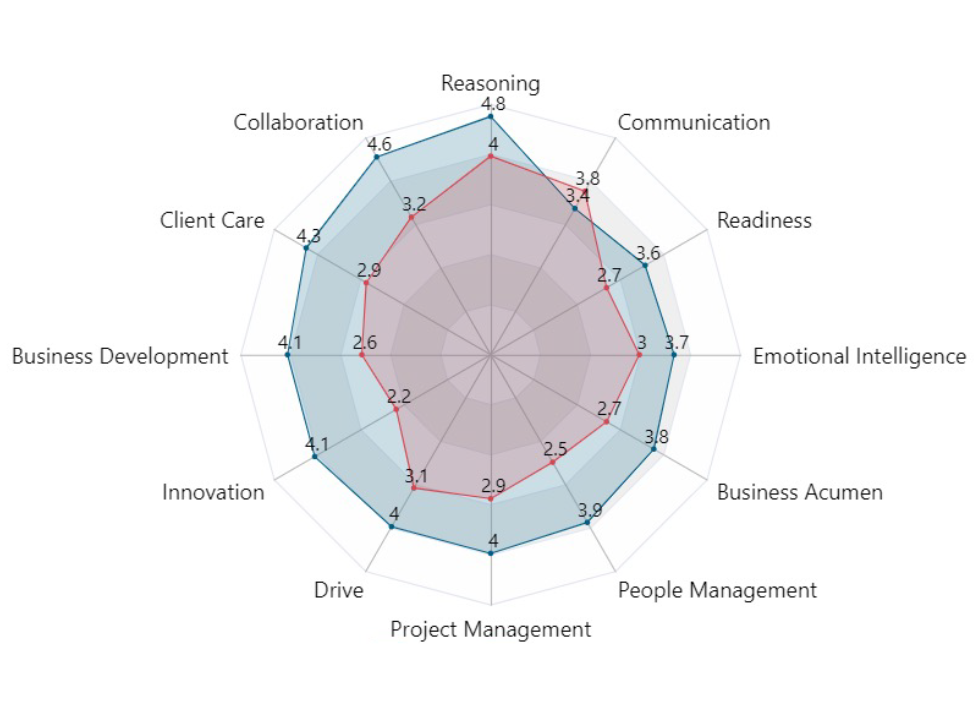 grafico COMPETENCY GAPS